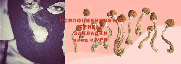 круглые Дмитриев