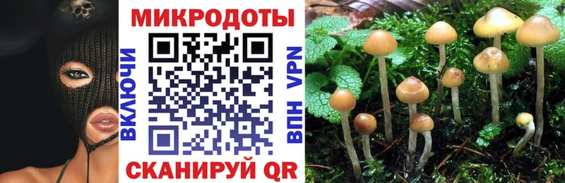 Псилоцибиновые грибы ЛСД Ершов